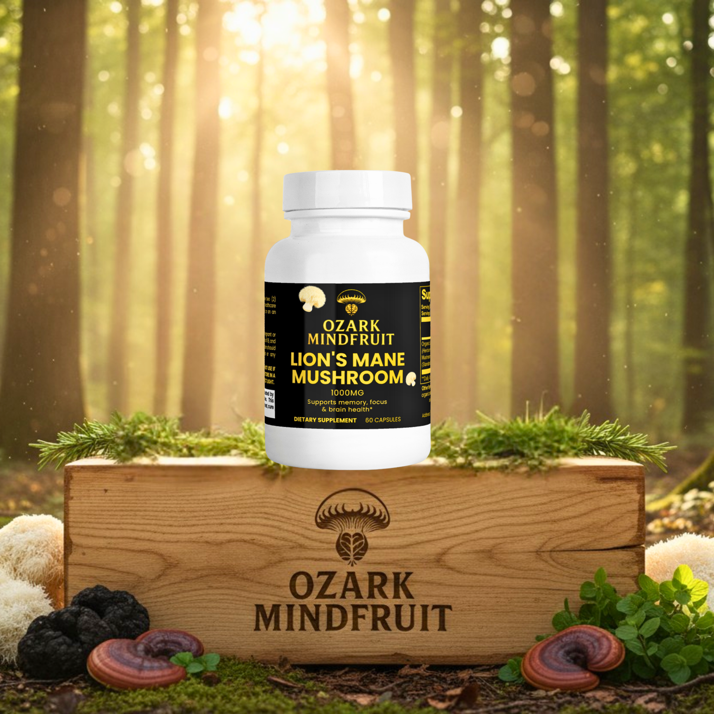 Lion's Mane Mushroom